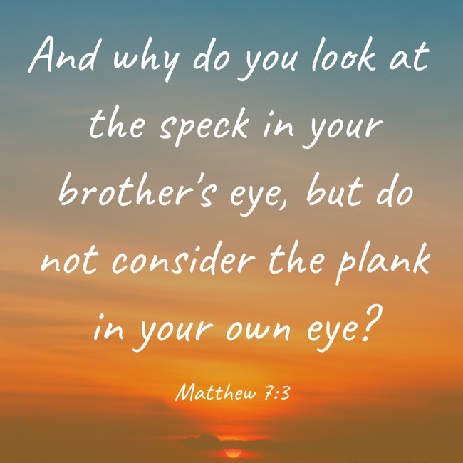  And why do you look at the speck in your brother's eye, but do not consider the plank in your own eye?   - Matthew 7:3 