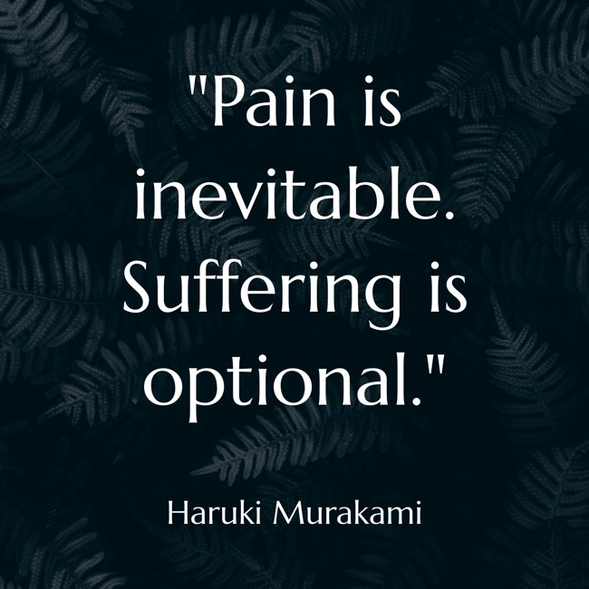  Pain is inevitable. Suffering is optional.   - Haruki Murakami 