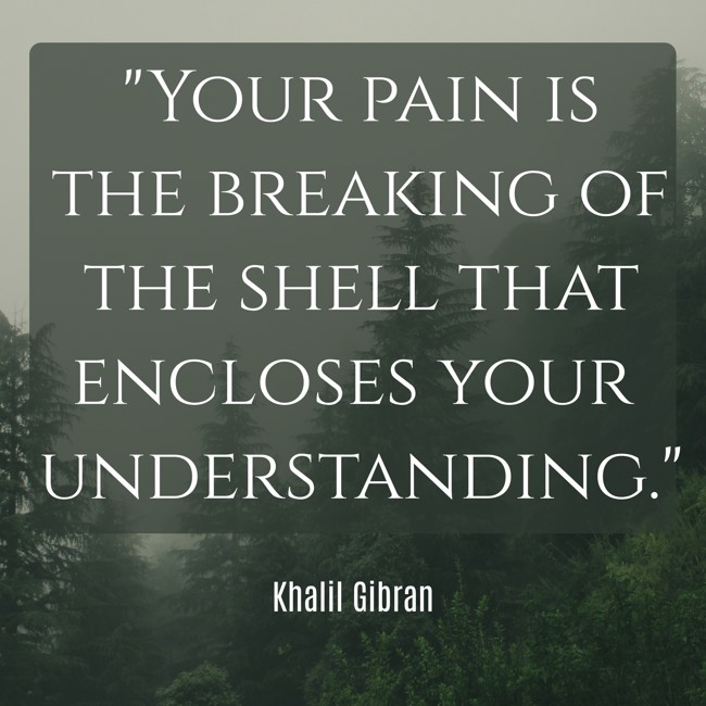  Your pain is the breaking of the shell that encloses your understanding.   - Khalil Gibran 