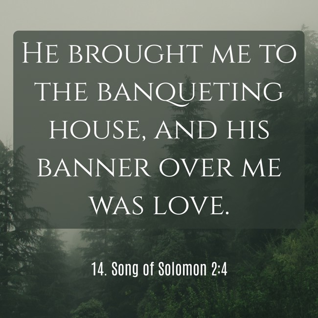 He brought me to the banqueting house, and his banner over me was love. - 14. Song of Solomon 2:4