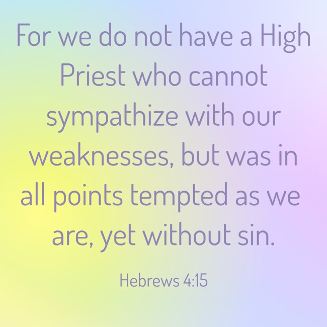 For we do not have a High Priest who cannot sympathize with our weaknesses, but was in all points tempted as we are, yet without sin. - Hebrews 4:15