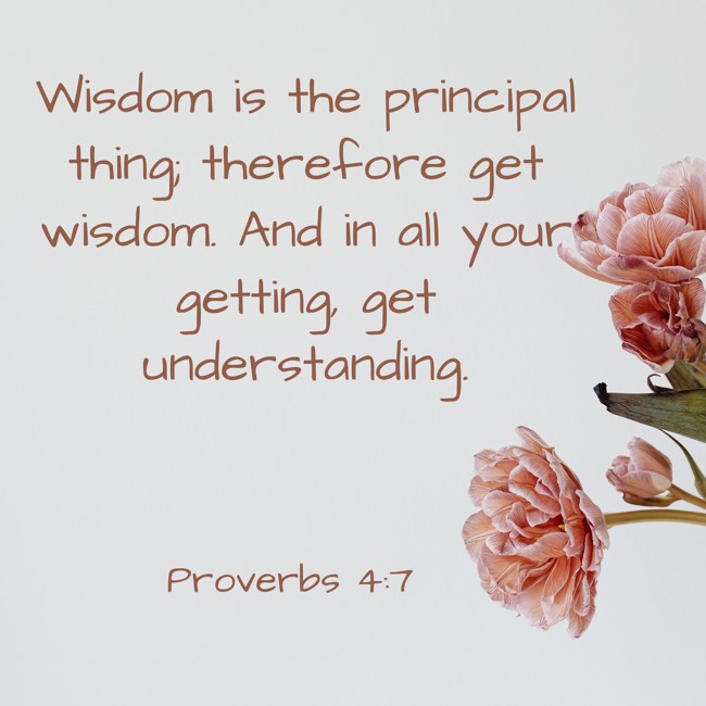 Wisdom is the principal thing; therefore get wisdom. And in all your getting, get understanding. - Proverbs 4:7