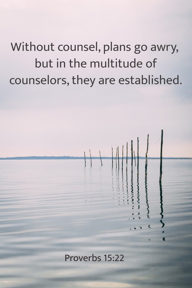 Without counsel, plans go awry, but in the multitude of counselors, they are established. - Proverbs 15:22