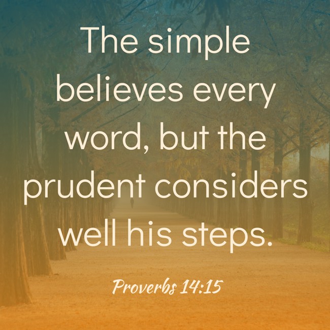 The simple believes every word, but the prudent considers well his steps. - Proverbs 14:15