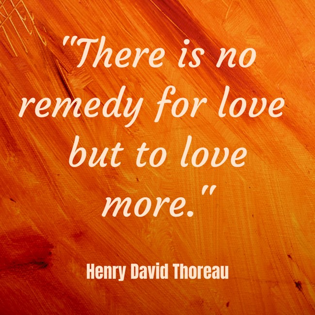 There is no remedy for love but to love more. - Henry David Thoreau