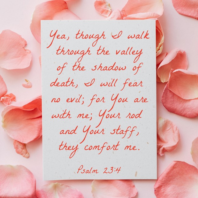 Yea, though I walk through the valley of the shadow of death, I will fear no evil; for You are with me; Your rod and Your staff, they comfort me. - Psalm 23:4