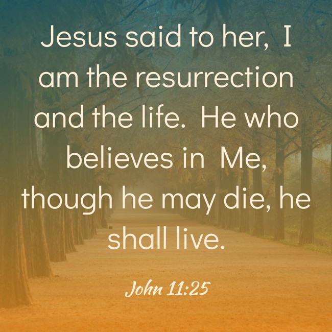 Jesus said to her, I am the resurrection and the life. He who believes in Me, though he may die, he shall live. - John 11:25