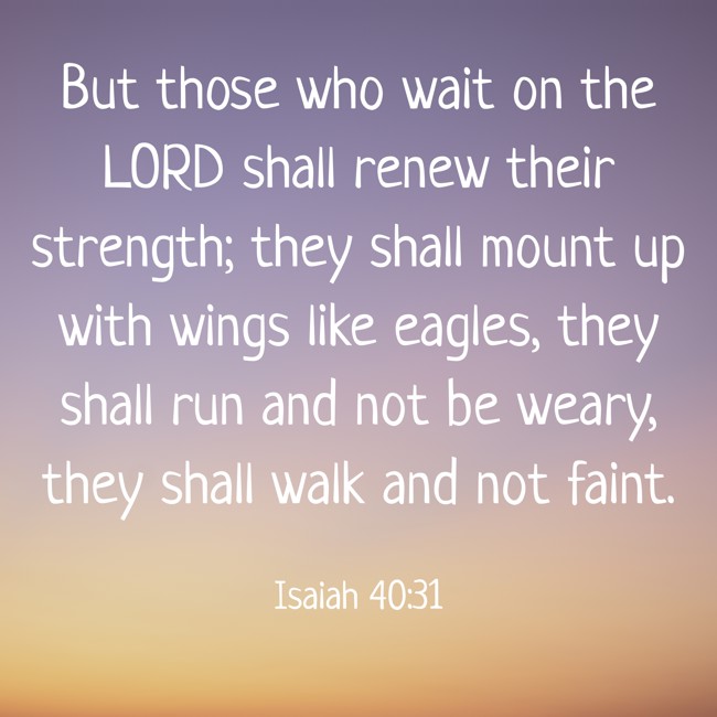 But those who wait on the LORD shall renew their strength; they shall mount up with wings like eagles, they shall run and not be weary, they shall walk and not faint. - Isaiah 40:31
