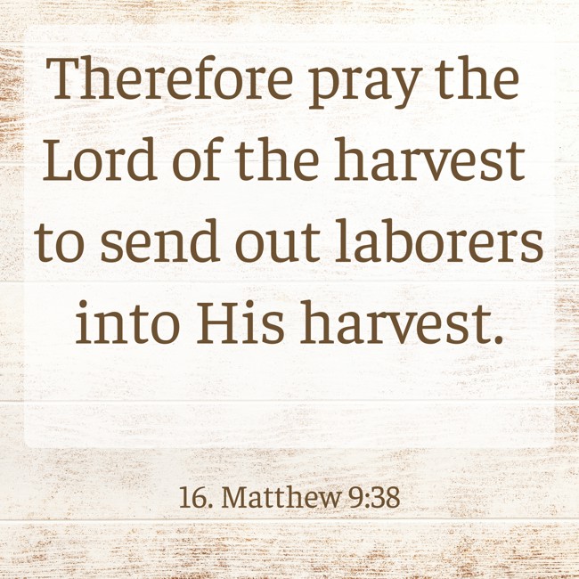 Therefore pray the Lord of the harvest to send out laborers into His harvest. - 16. Matthew 9:38