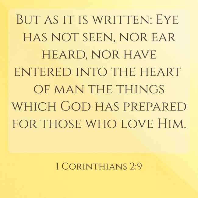 But as it is written: Eye has not seen, nor ear heard, nor have entered into the heart of man the things which God has prepared for those who love Him. - 1 Corinthians 2:9