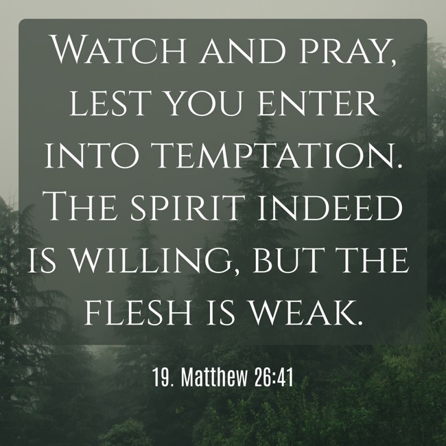 Watch and pray, lest you enter into temptation. The spirit indeed is willing, but the flesh is weak. - 19. Matthew 26:41