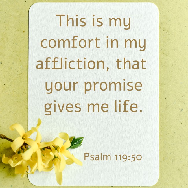This is my comfort in my affliction, that your promise gives me life. - Psalm 119:50