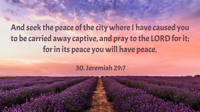And seek the peace of the city where I have caused you to be carried away captive, and pray to the LORD for it; for in its peace you will have peace. - 30. Jeremiah 29:7