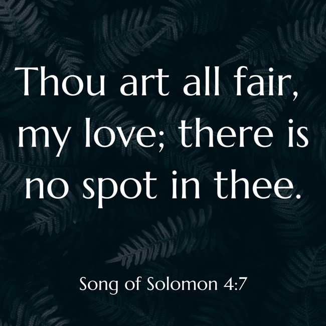 Thou art all fair, my love; there is no spot in thee. - Song of Solomon 4:7