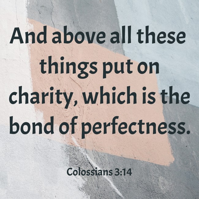And above all these things put on charity, which is the bond of perfectness. - Colossians 3:14