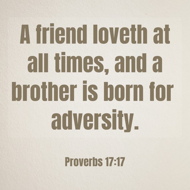 A friend loveth at all times, and a brother is born for adversity. - Proverbs 17:17