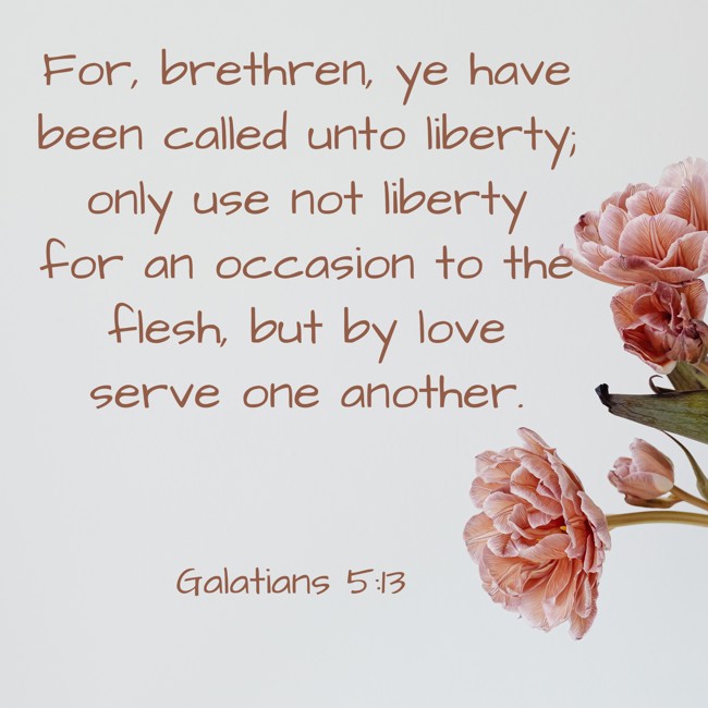 For, brethren, ye have been called unto liberty; only use not liberty for an occasion to the flesh, but by love serve one another. - Galatians 5:13