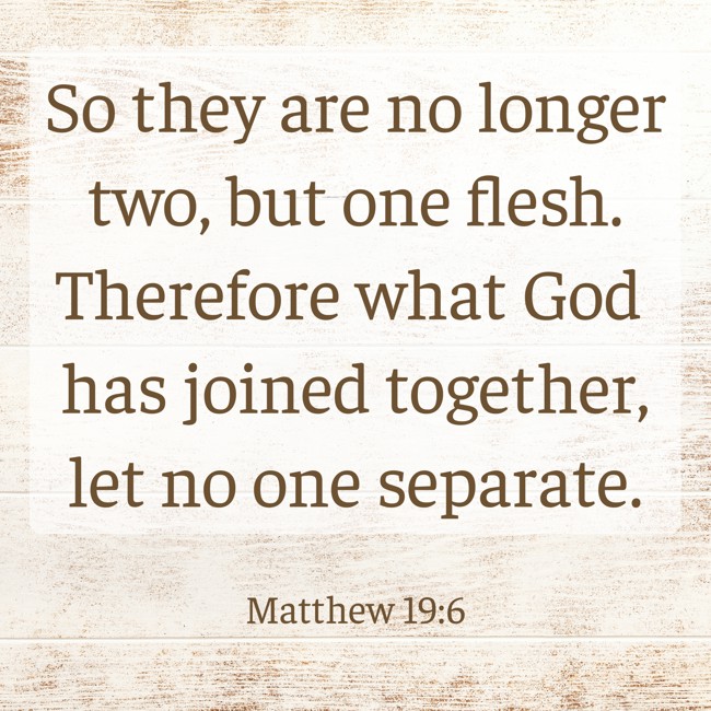 So they are no longer two, but one flesh. Therefore what God has joined together, let no one separate. - Matthew 19:6