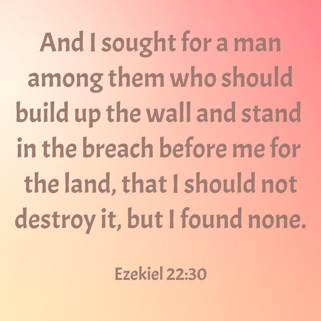 And I sought for a man among them who should build up the wall and stand in the breach before me for the land, that I should not destroy it, but I found none.   - Ezekiel 22:30 