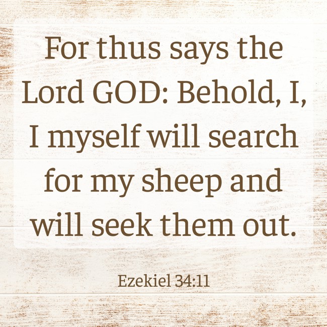  For thus says the Lord GOD: Behold, I, I myself will search for my sheep and will seek them out.   - Ezekiel 34:11 