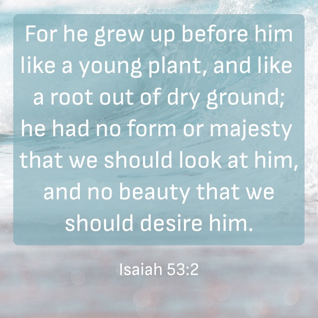  For he grew up before him like a young plant, and like a root out of dry ground; he had no form or majesty that we should look at him, and no beauty that we should desire him.   - Isaiah 53:2 