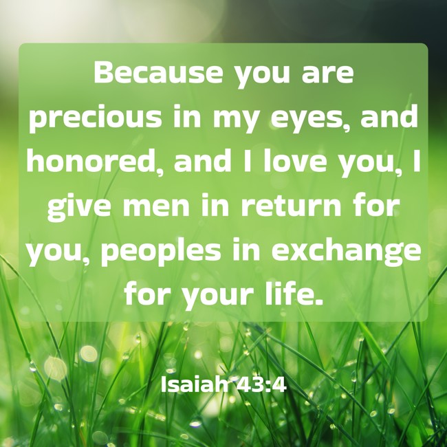  Because you are precious in my eyes, and honored, and I love you, I give men in return for you, peoples in exchange for your life.   - Isaiah 43:4 