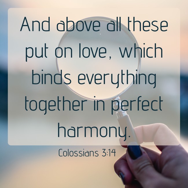 And above all these put on love, which binds everything together in perfect harmony. - Colossians 3:14