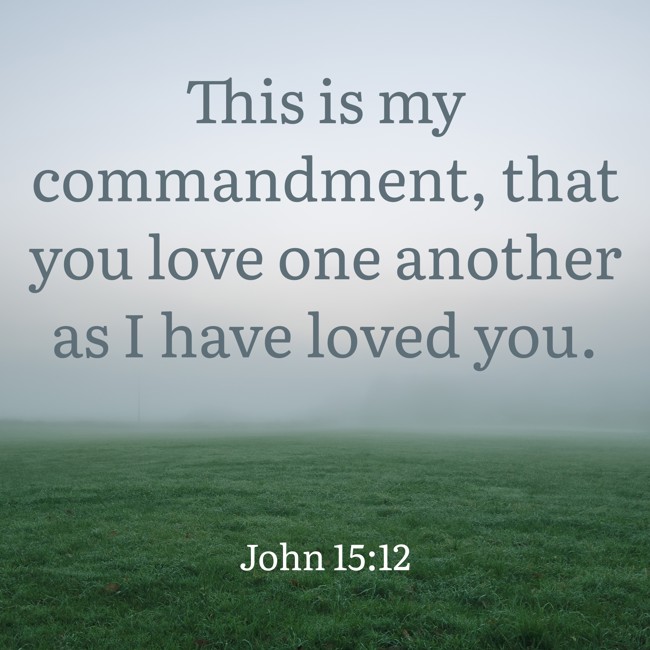 This is my commandment, that you love one another as I have loved you. - John 15:12