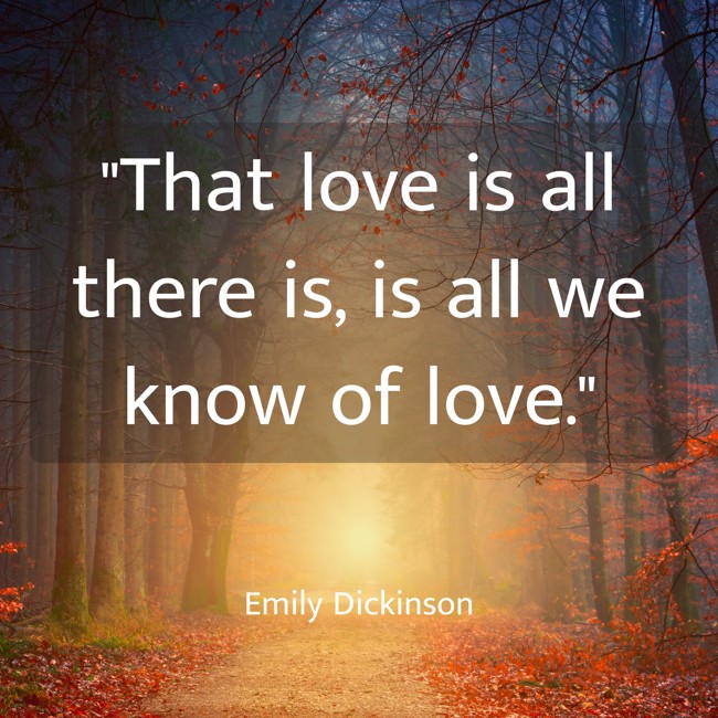 That love is all there is, is all we know of love. - Emily Dickinson
