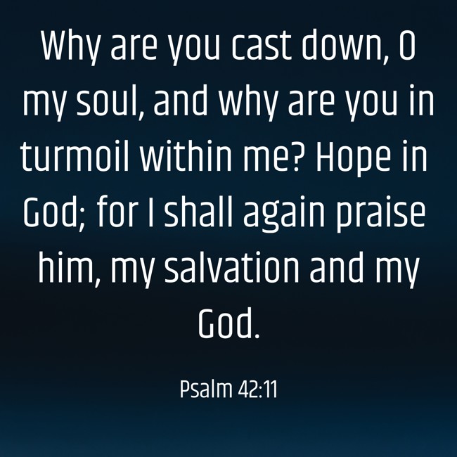Why are you cast down, O my soul, and why are you in turmoil within me? Hope in God; for I shall again praise him, my salvation and my God. - Psalm 42:11