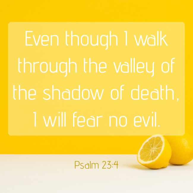 Even though I walk through the valley of the shadow of death, I will fear no evil. - Psalm 23:4