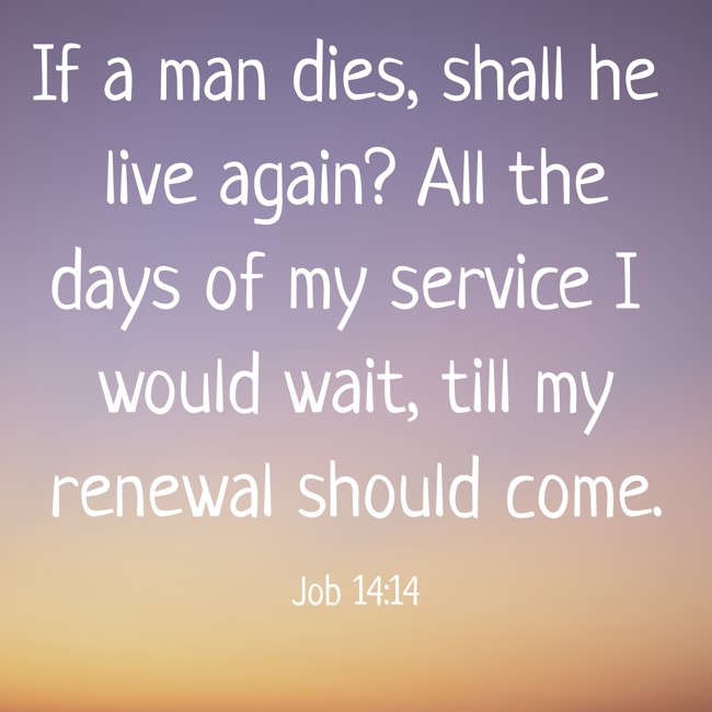 If a man dies, shall he live again? All the days of my service I would wait, till my renewal should come. - Job 14:14
