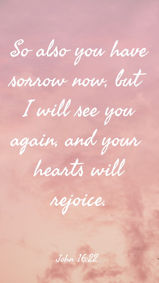 So also you have sorrow now, but I will see you again, and your hearts will rejoice. - John 16:22