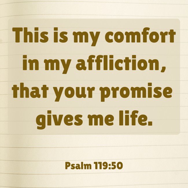 This is my comfort in my affliction, that your promise gives me life. - Psalm 119:50