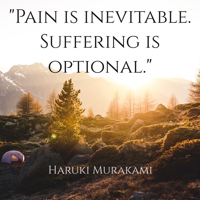 Pain is inevitable. Suffering is optional. - Haruki Murakami