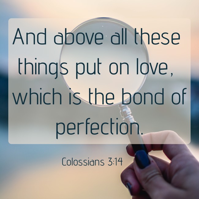 And above all these things put on love, which is the bond of perfection. - Colossians 3:14
