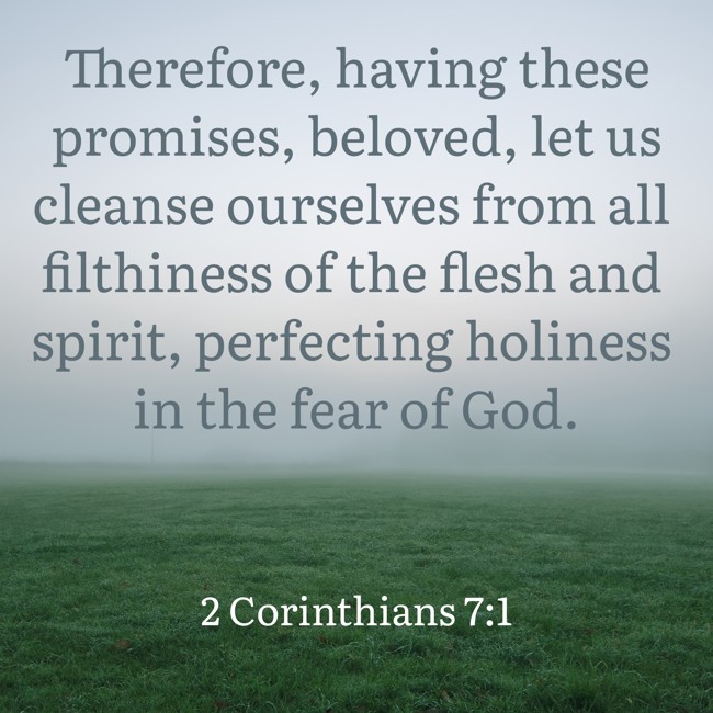 Therefore, having these promises, beloved, let us cleanse ourselves from all filthiness of the flesh and spirit, perfecting holiness in the fear of God. - 2 Corinthians 7:1