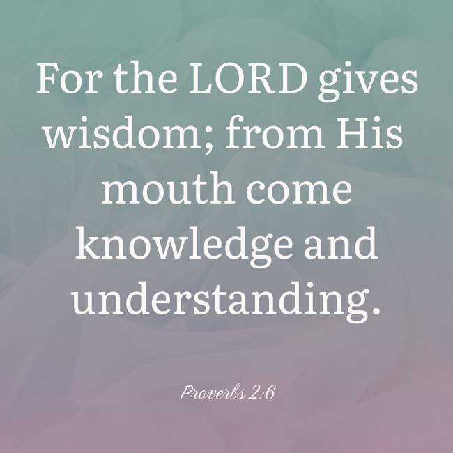 For the LORD gives wisdom; from His mouth come knowledge and understanding. - Proverbs 2:6