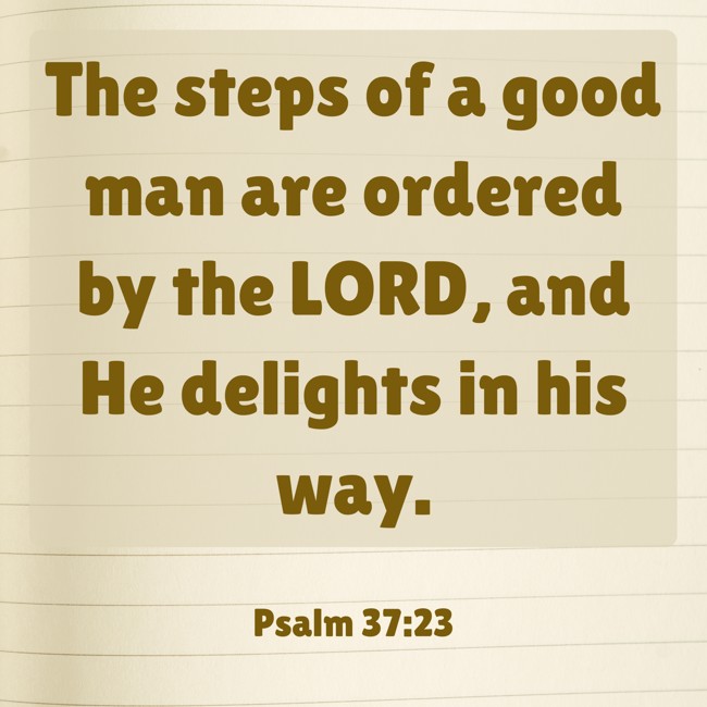 The steps of a good man are ordered by the LORD, and He delights in his way. - Psalm 37:23