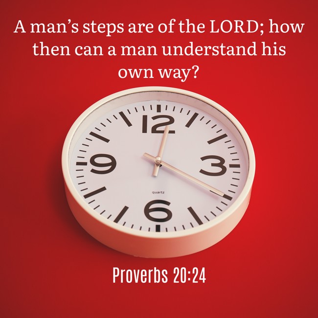 A man’s steps are of the LORD; how then can a man understand his own way? - Proverbs 20:24