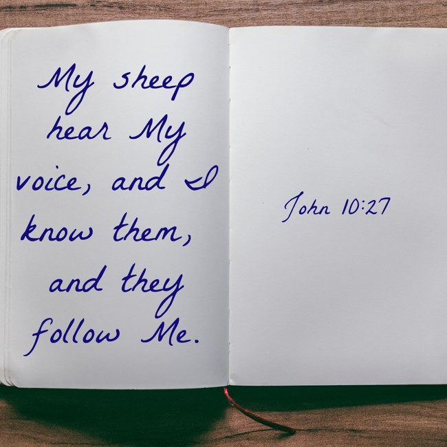 My sheep hear My voice, and I know them, and they follow Me. - John 10:27