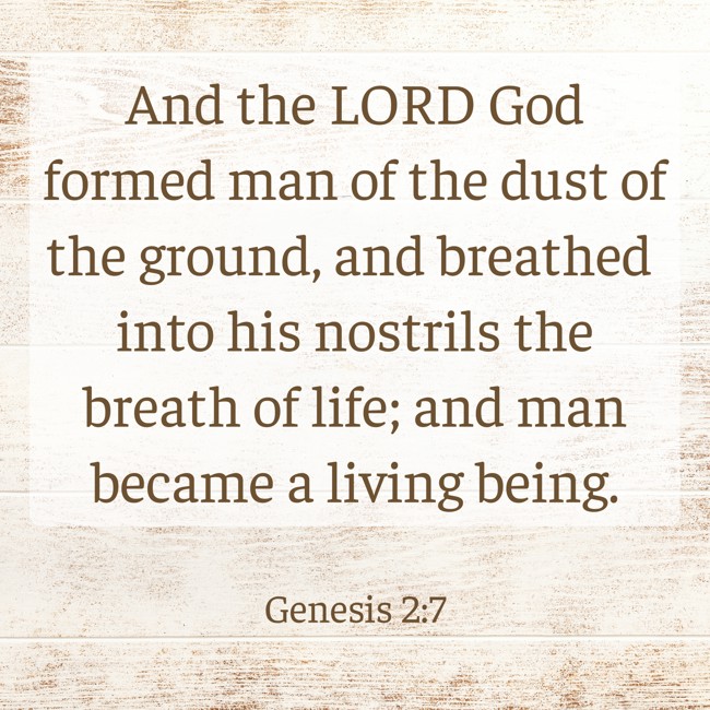 And the LORD God formed man of the dust of the ground, and breathed into his nostrils the breath of life; and man became a living being. - Genesis 2:7