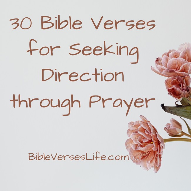 30 Bible Verses for Seeking Direction through Prayer