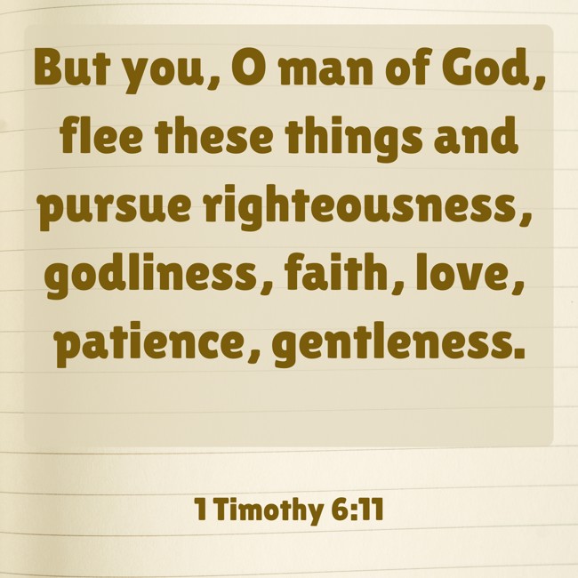 But you, O man of God, flee these things and pursue righteousness, godliness, faith, love, patience, gentleness. - 1 Timothy 6:11