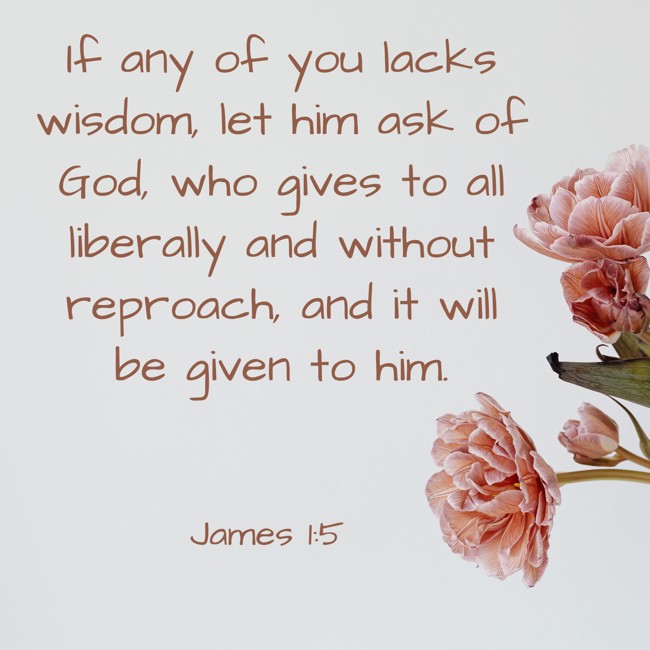 If any of you lacks wisdom, let him ask of God, who gives to all liberally and without reproach, and it will be given to him. - James 1:5