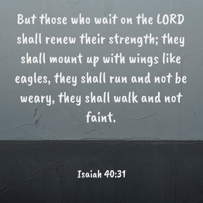But those who wait on the LORD shall renew their strength; they shall mount up with wings like eagles, they shall run and not be weary, they shall walk and not faint. - Isaiah 40:31