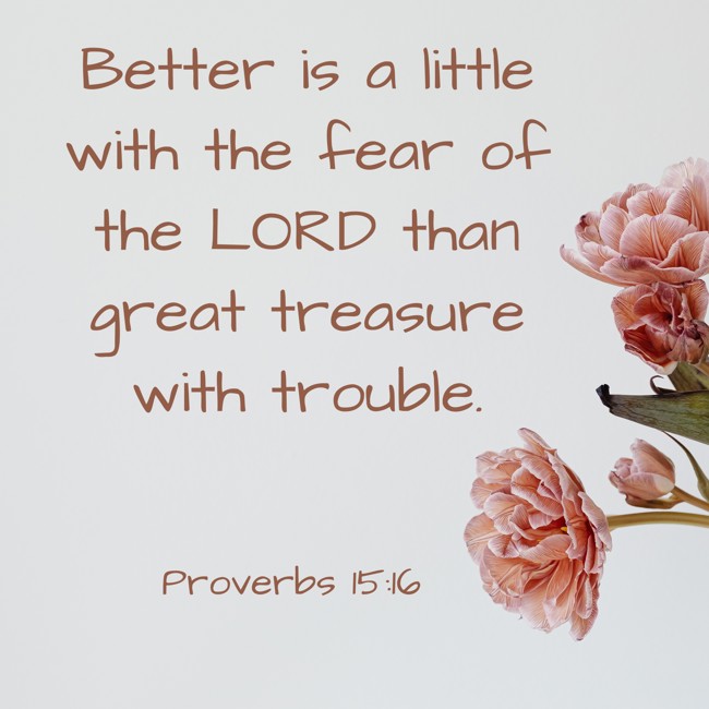 Better is a little with the fear of the LORD than great treasure with trouble. - Proverbs 15:16
