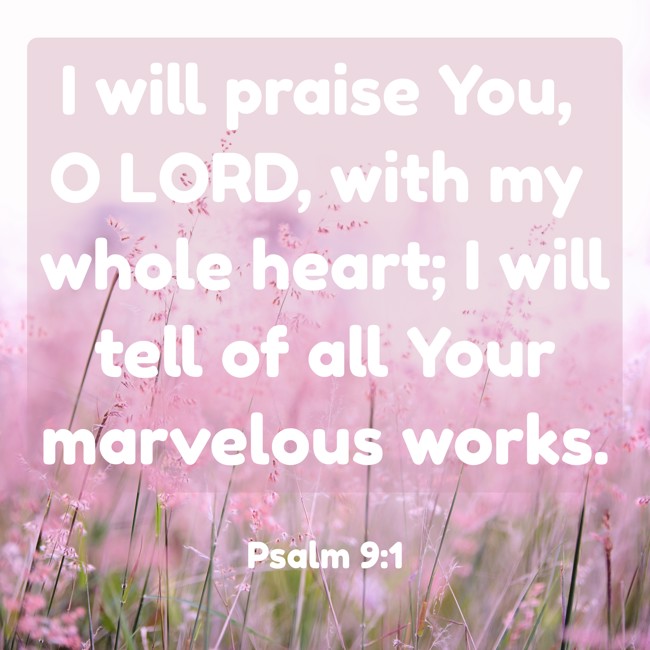 I will praise You, O LORD, with my whole heart; I will tell of all Your marvelous works. - Psalm 9:1