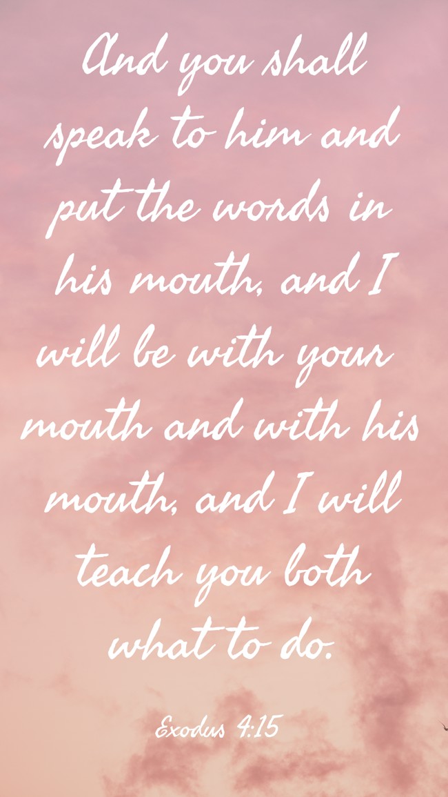 And you shall speak to him and put the words in his mouth, and I will be with your mouth and with his mouth, and I will teach you both what to do. - Exodus 4:15