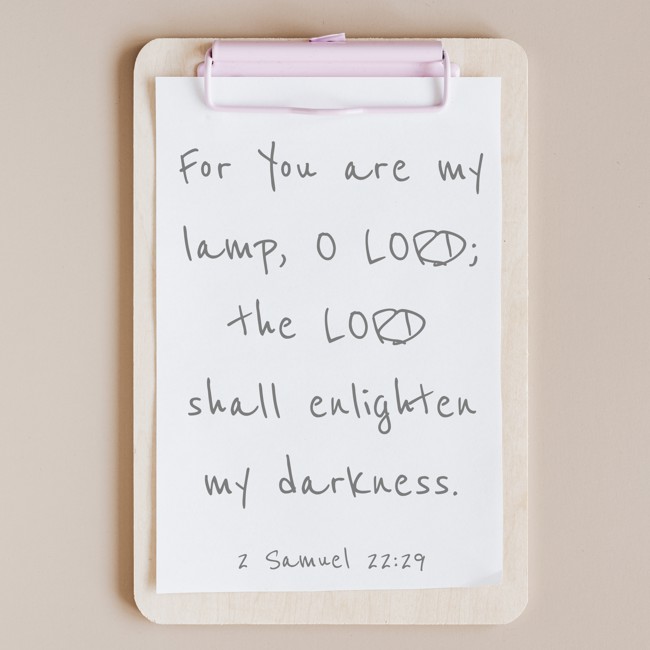 For You are my lamp, O LORD; the LORD shall enlighten my darkness. - 2 Samuel 22:29